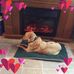 Profile Picture of Myrtle Carroll (@myrtle.carroll.984) on Facebook
