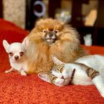 Profile Picture of Alex&Chavis&Atos (@alex_and_chavis_and_atos) on Instagram