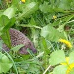 tadeusz - Instagram Profile Picture of tadeusz (@tadeusz_ostrowski) on Instagram