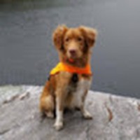 Profile Picture of Robert Renshaw (@robert-renshaw-18) on Quora