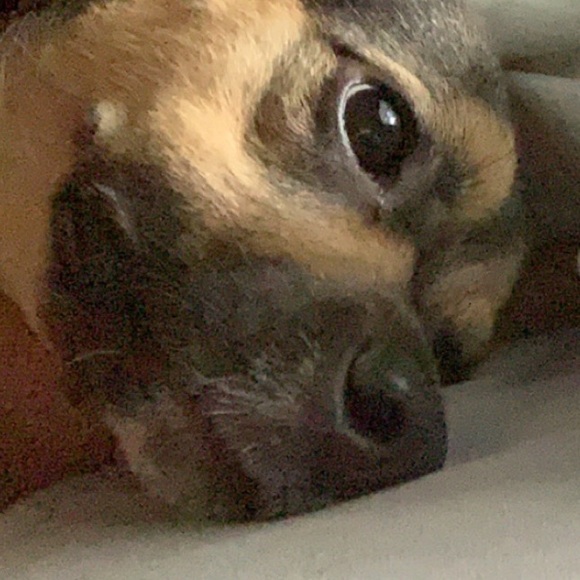 Profile Picture of Finn Barry (@finnb185) on Poshmark