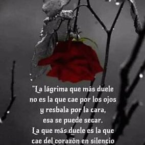 Profile Picture of Angelina Hidalgo (@angelinahidal19) on Twitter