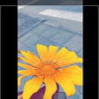 Profile Picture of Heidi Silva (@heidi-silva-11) on Quora