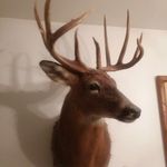 Profile Picture of Corey Swezey (@trophyhunter77) on Instagram