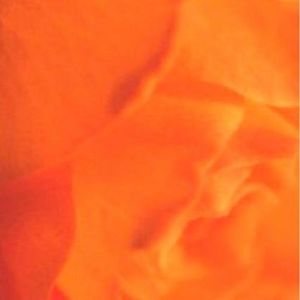 Profile Picture of Alessandro Massa (@alessandro.massa) on Myspace