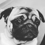 Profile Picture of Benjamin Rudd (@ben._1211) on Instagram