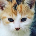 Profile Picture of johanna.traxler (@johanna__traxler) on Instagram