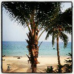 Profile Picture of Aimee McLean (@aimeemcleanee) on Instagram