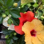 Profile Picture of Marg Osterbrook (@marg.osterbrook) on Facebook