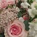 Profile Picture of ada fontanez (@adafontanez) on Pinterest