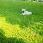 Arlene Beckwith - Facebook Profile Picture of Arlene Beckwith (@arlene.beckwith.3) on Facebook