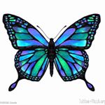 Profile Picture of mreillykirk (@mreillykirk) on Instagram