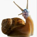 Profile Picture of Angela Stumph (@angela.stumph) on Instagram