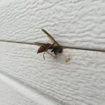 Profile Picture of Scott McBroom (@mcbroom7992) on Instagram