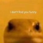 Profile Picture of   NO LONGER IN USE... (@cxprisxnn) on Tiktok