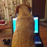 Profile Picture of Barbara McAllister (@bamcallister18) on Instagram