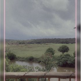 Profile Picture of Isla Richards (@Isla_Richards) on Pinterest