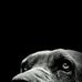 Profile Picture of Andrei Dobos (@andrei.dobos.904) on Facebook