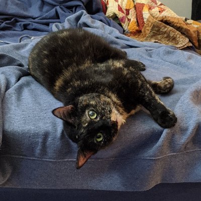 Michael Croley - Twitter Profile Picture of Michael Croley (@CroleyAndRoux) on Twitter