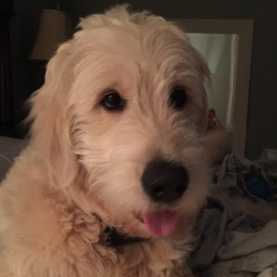 Profile Picture of Dave Templin (@djtempin) on Twitter