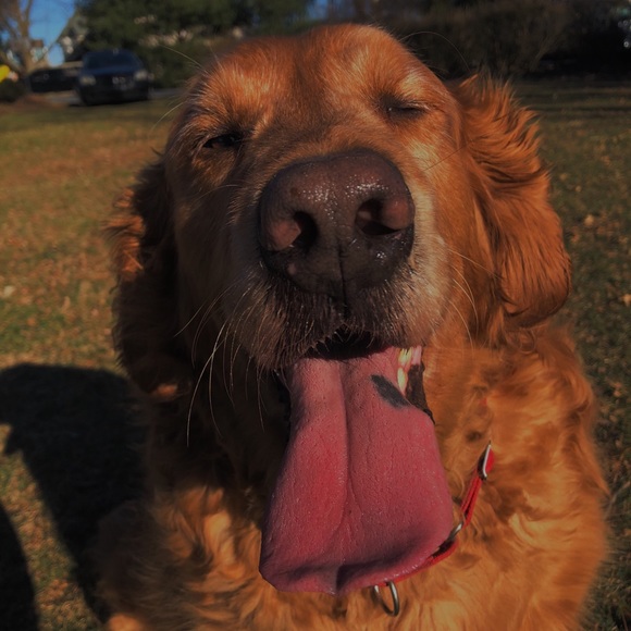 Profile Picture of Layla Severe (@severe101) on Poshmark