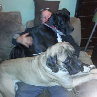 Profile Picture of John Huff (@john.huff.1069) on Facebook