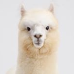 Profile Picture of 成増ヶ丘整骨院 (@narimasugaokaseikotsuin) on Instagram