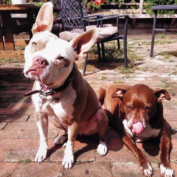 Profile Picture of Jennifer Seidman (@acmejenn) on Poshmark