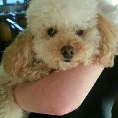 Profile Picture of Ursula Hughes (@uhughes53) on Twitter