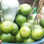 Profile Picture of Jules Abel (@Jules-Abel) on Facebook