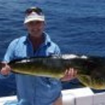 Profile Picture of Lisa Wilkins (@lisawilkins813) on Twitter