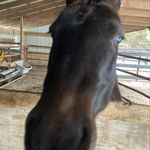 Profile Picture of Adelyn Rinker (@adelynrinker) on Instagram