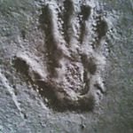 Profile Picture of Chris (@chr.pellot) on Instagram