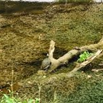 Profile Picture of Jonathan Jeffries (@jonathan.b.jeffries) on Instagram