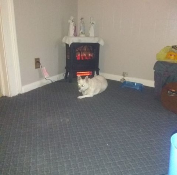 Profile Picture of Bruce Chapman (@bruce_chapman) on Poshmark