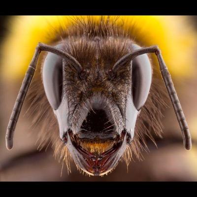 Profile Picture of Michael Cording (@chordfish) on Twitter