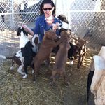 Cindy Ezzo - Instagram Profile Picture of Cindy Ezzo (@cyndalla_05) on Instagram