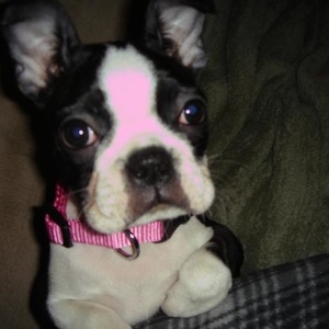 Profile Picture of Candace Basilio-jorgensen (@candacecoffeshopaddict) on Myspace