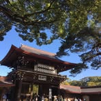 Profile Picture of Alice Shield (@alice.shield.2025) on Facebook