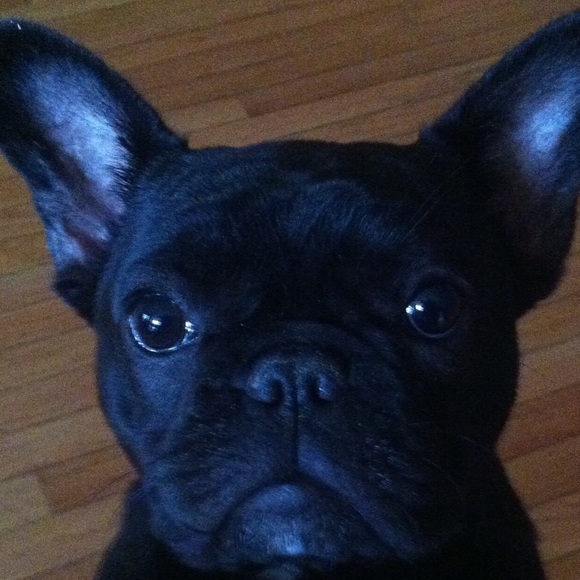 Profile Picture of Donna Cracco (@dlc333) on Poshmark