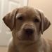 Profile Picture of Zachary Griffith (@zachary.griffith.3591) on Facebook