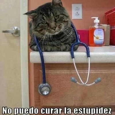 Profile Picture of David Torres (@kanelo1287) on Twitter