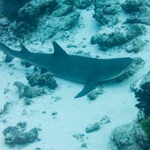 Profile Picture of Matt Orris (@orris_m) on Twitter