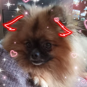 Luchik Puchik - Youtube Profile Picture of Luchik Puchik (@luchikpuchik8431) on Youtube