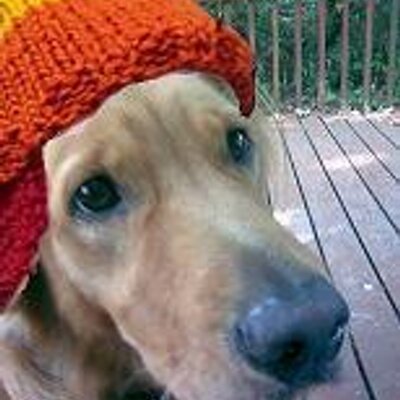 Profile Picture of Jim DiVittorio (@jimdivittorio) on Twitter