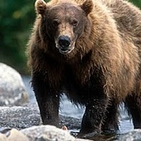 Profile Picture of Andrew Exham (@andrew-exham) on Quora