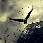 Profile Picture of Davidam44 (@davidam44) on Flickr