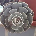 Profile Picture of Jean Huang (@jean.huang.0592) on Instagram