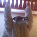 Profile Picture of Allison Michaud (@alsnwdrlnd) on Pinterest
