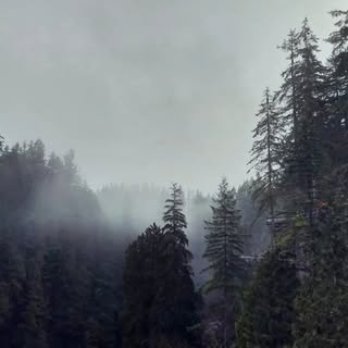 Profile Picture of Photography 📷 (@_abeautifulday) on Instagram